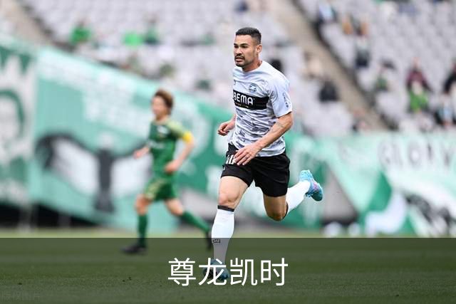 尊龙凯时公司介绍